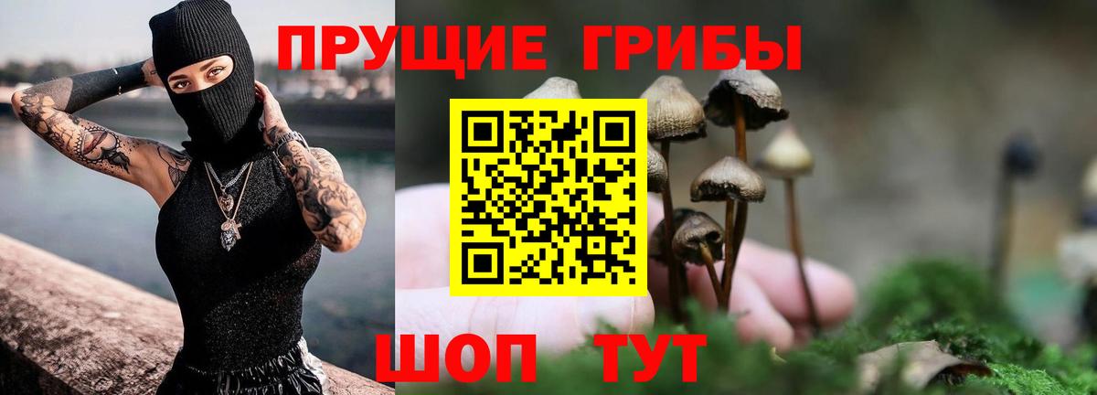 Галлюциногенные грибы мухоморы  Вход с VPN  Донской 